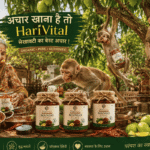 mango pickle recipe